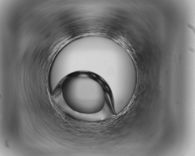 X0000096440001200802071759