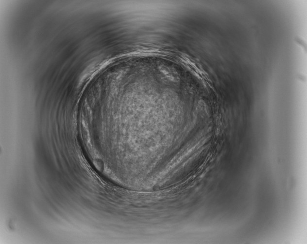 X0000096440002200802071759