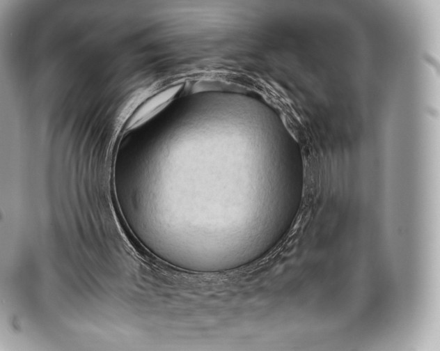 X0000096440003200802071759