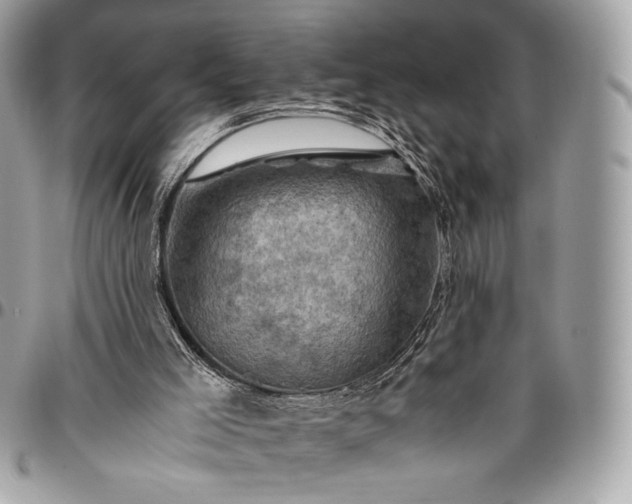 X0000096440005200802071759