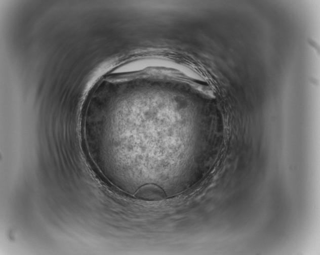 X0000096440006200802071759