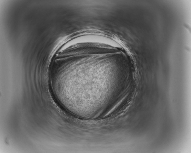 X0000096440007200802071759