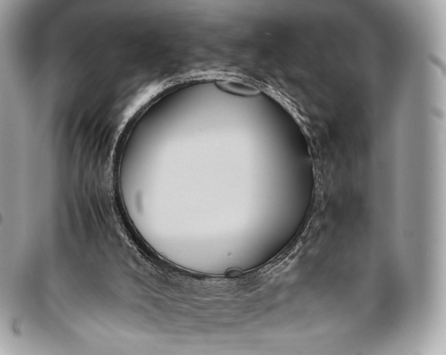 X0000096440008200802071759