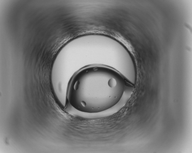 X0000096440009200802071759