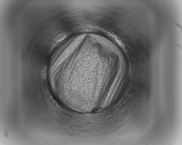 X0000096440010200802071759