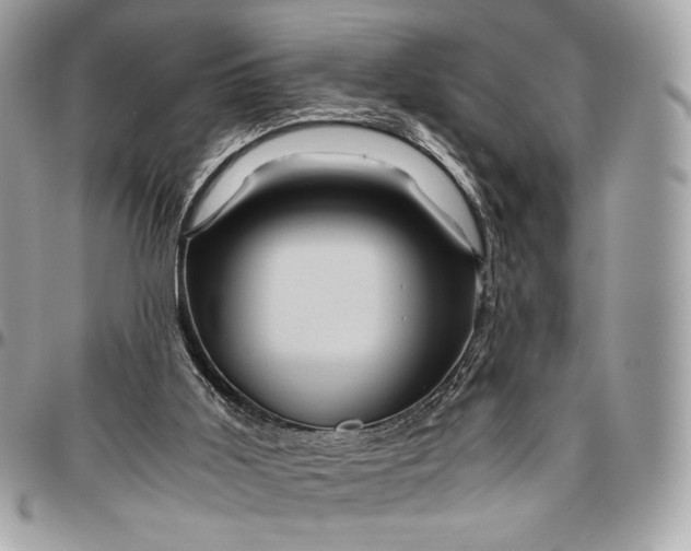 X0000096440011200802071759