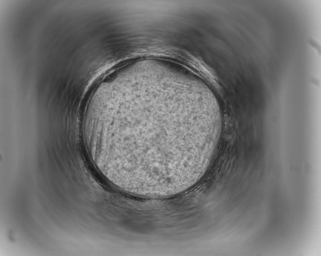 X0000096440012200802071759