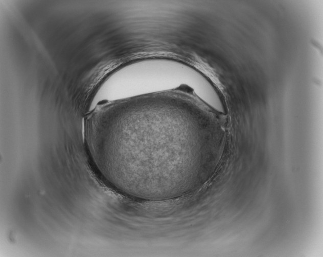 X0000096440013200802071759