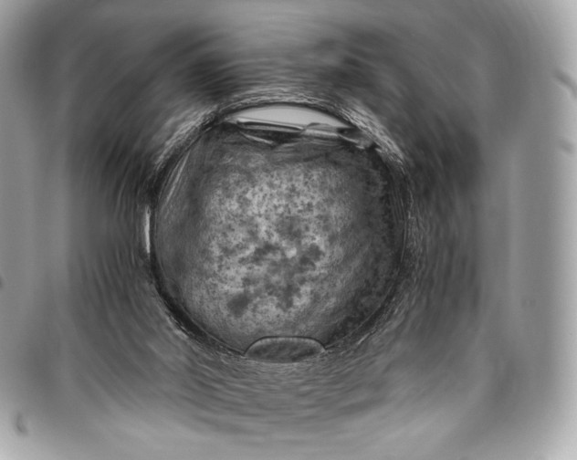 X0000096440014200802071759