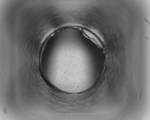 X0000096440015200802071759