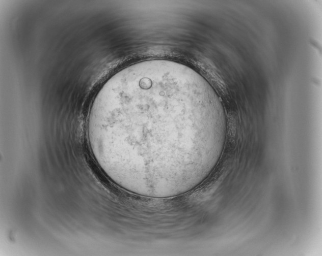 X0000096440016200802071759