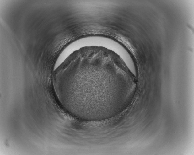 X0000096440017200802071759