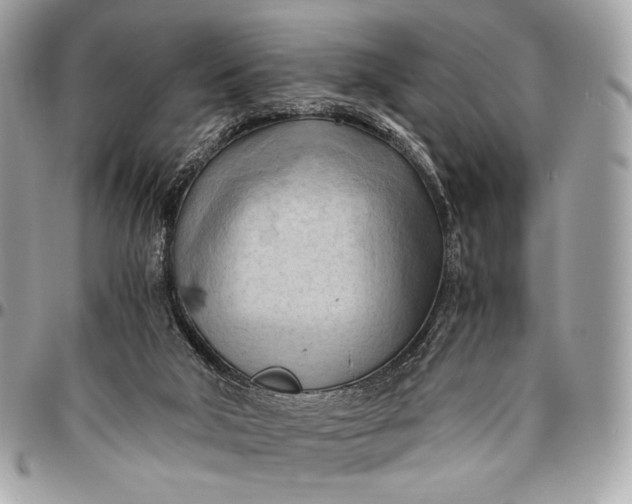 X0000096440018200802071759