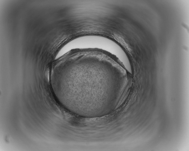 X0000096440021200802071759