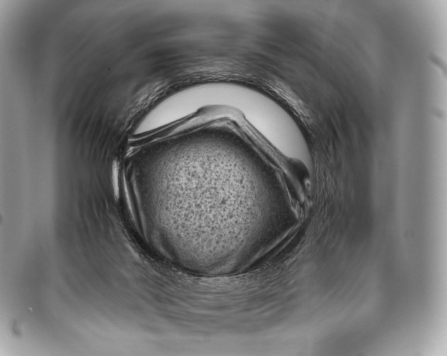 X0000096440022200802071759