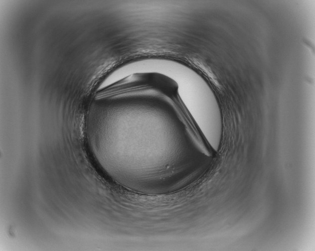 X0000096440023200802071759