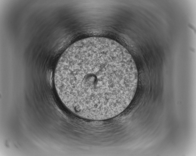 X0000096440024200802071759