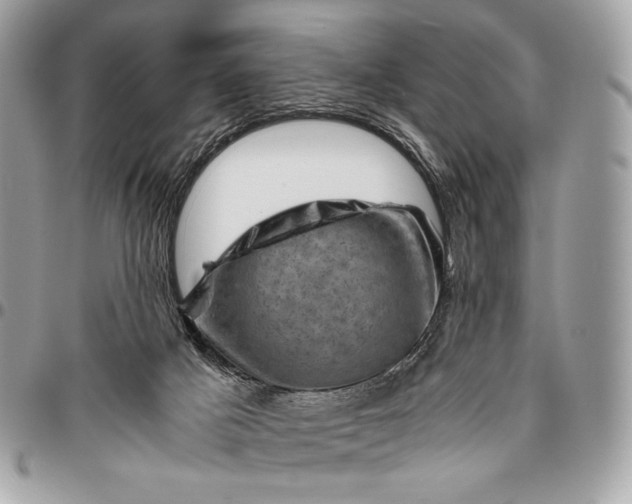 X0000096440025200802071759