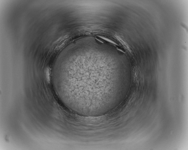 X0000096440026200802071759