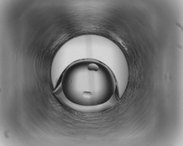 X0000096440027200802071759