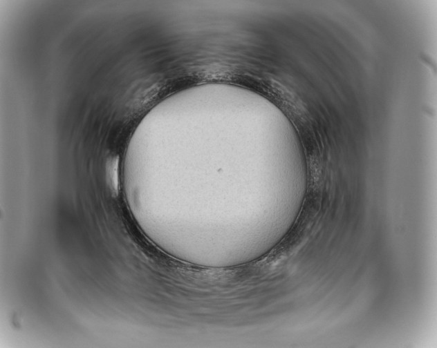 X0000096440028200802071759