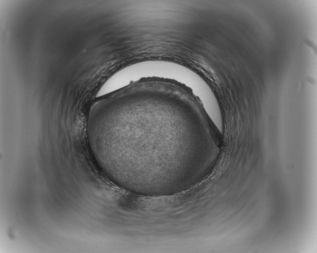 X0000096440029200802071759