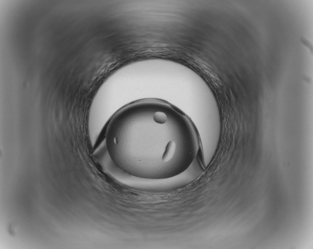 X0000096440031200802071759