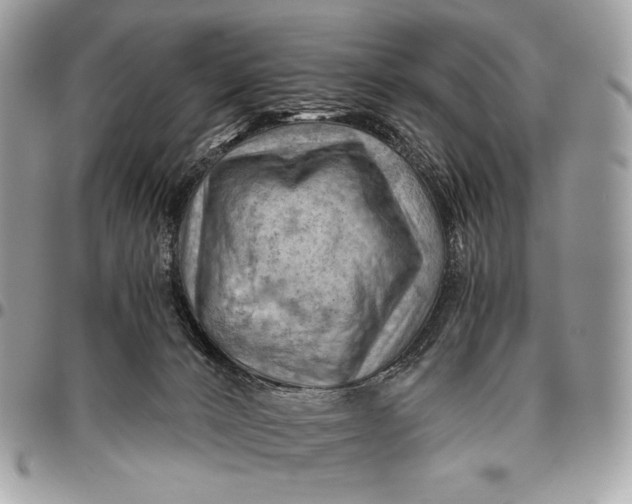 X0000096440032200802071759