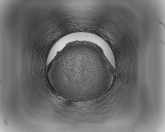 X0000096440033200802071759