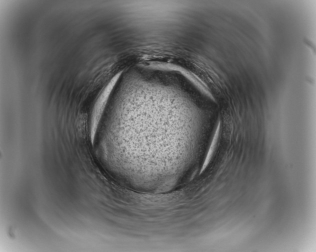 X0000096440034200802071759