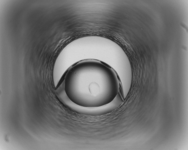 X0000096440035200802071759