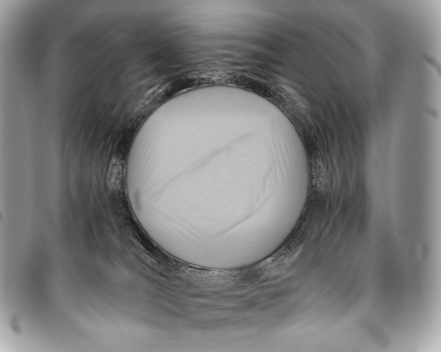 X0000096440036200802071759