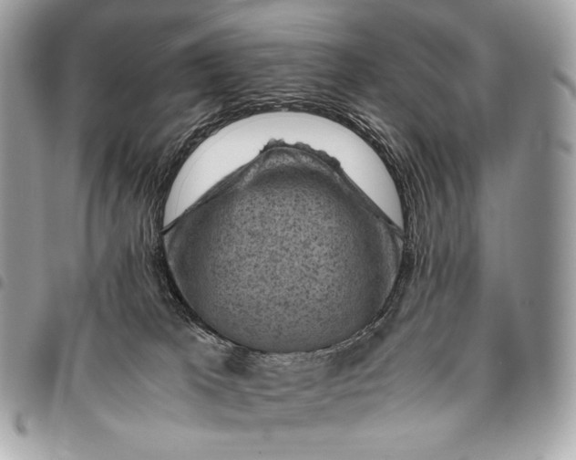 X0000096440037200802071759