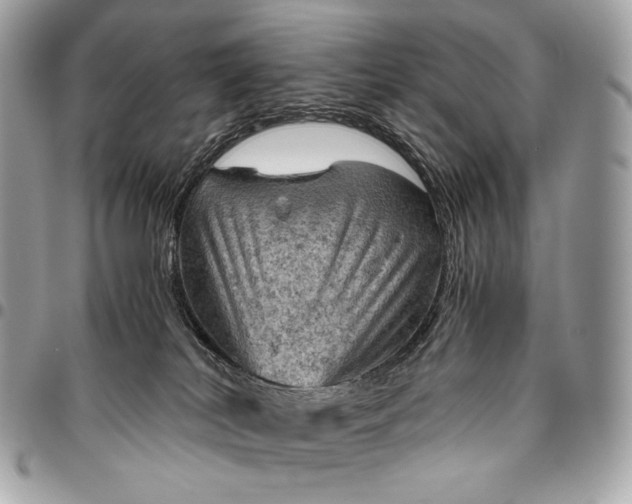 X0000096440038200802071758