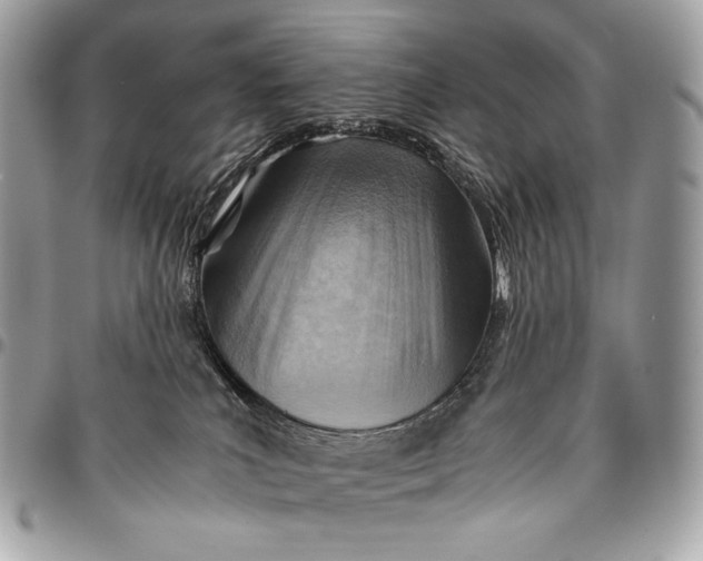 X0000096440039200802071758