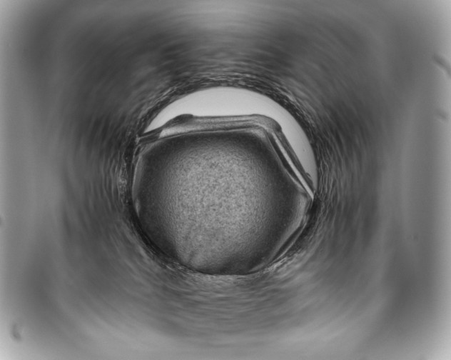 X0000096440040200802071758