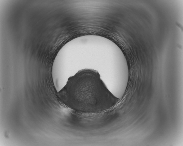 X0000096440041200802071758