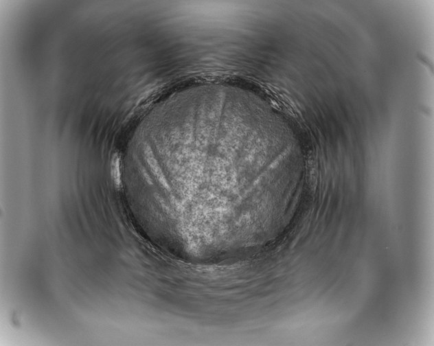 X0000096440042200802071758