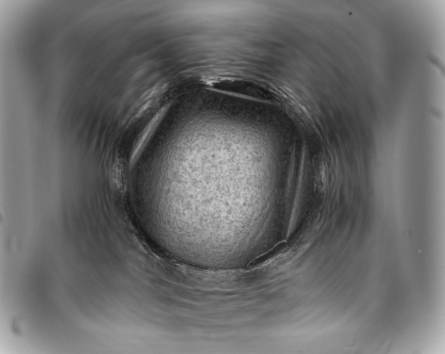 X0000096440044200802071758