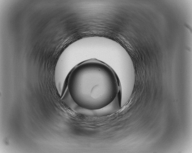 X0000096440045200802071758