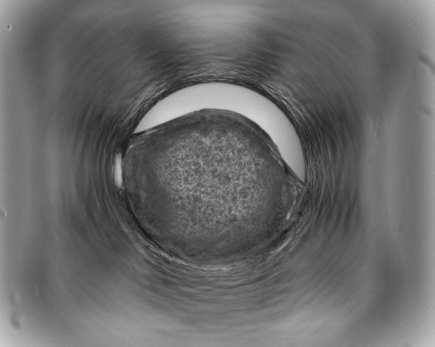 X0000096440046200802071758