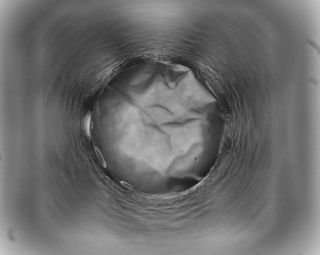 X0000096440047200802071758