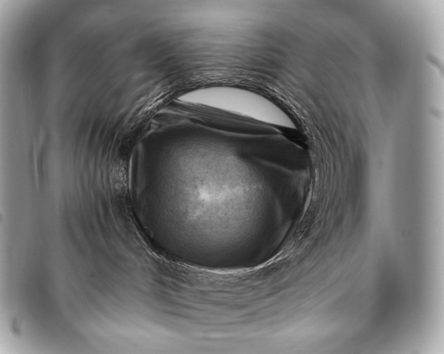 X0000096440048200802071758