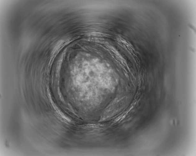 X0000096440049200802071758