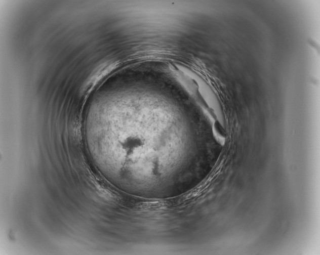 X0000096440050200802071758