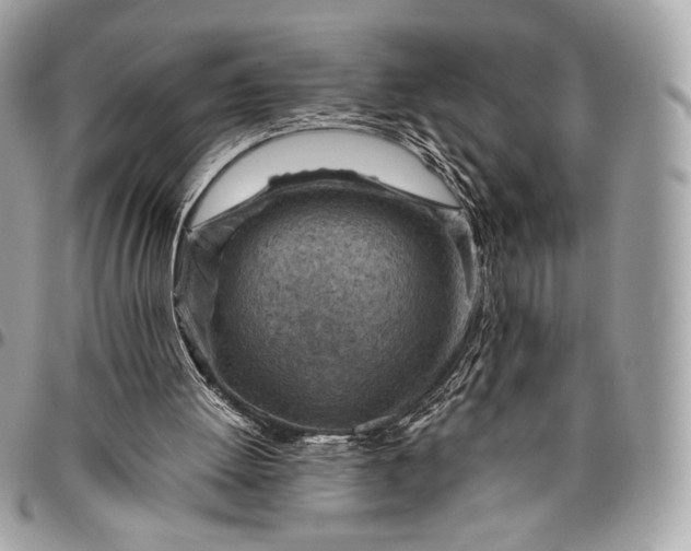 X0000096440052200802071758