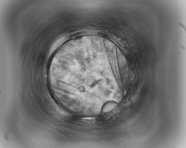 X0000096440053200802071758