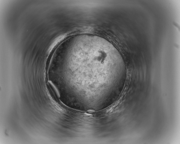 X0000096440054200802071758