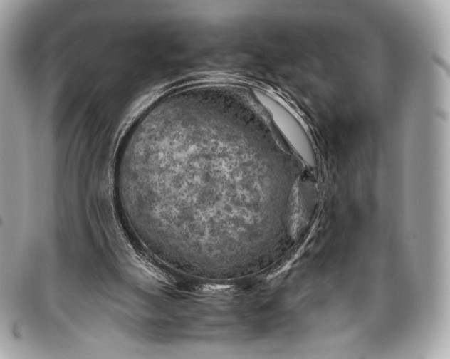 X0000096440055200802071758