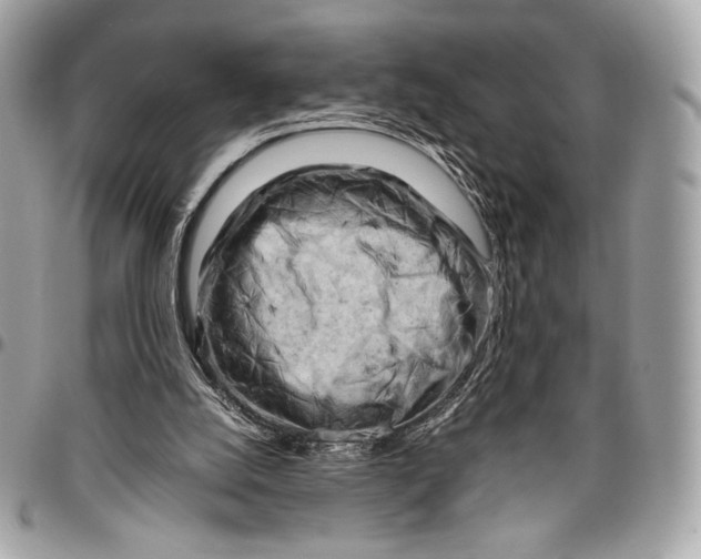 X0000096440056200802071758